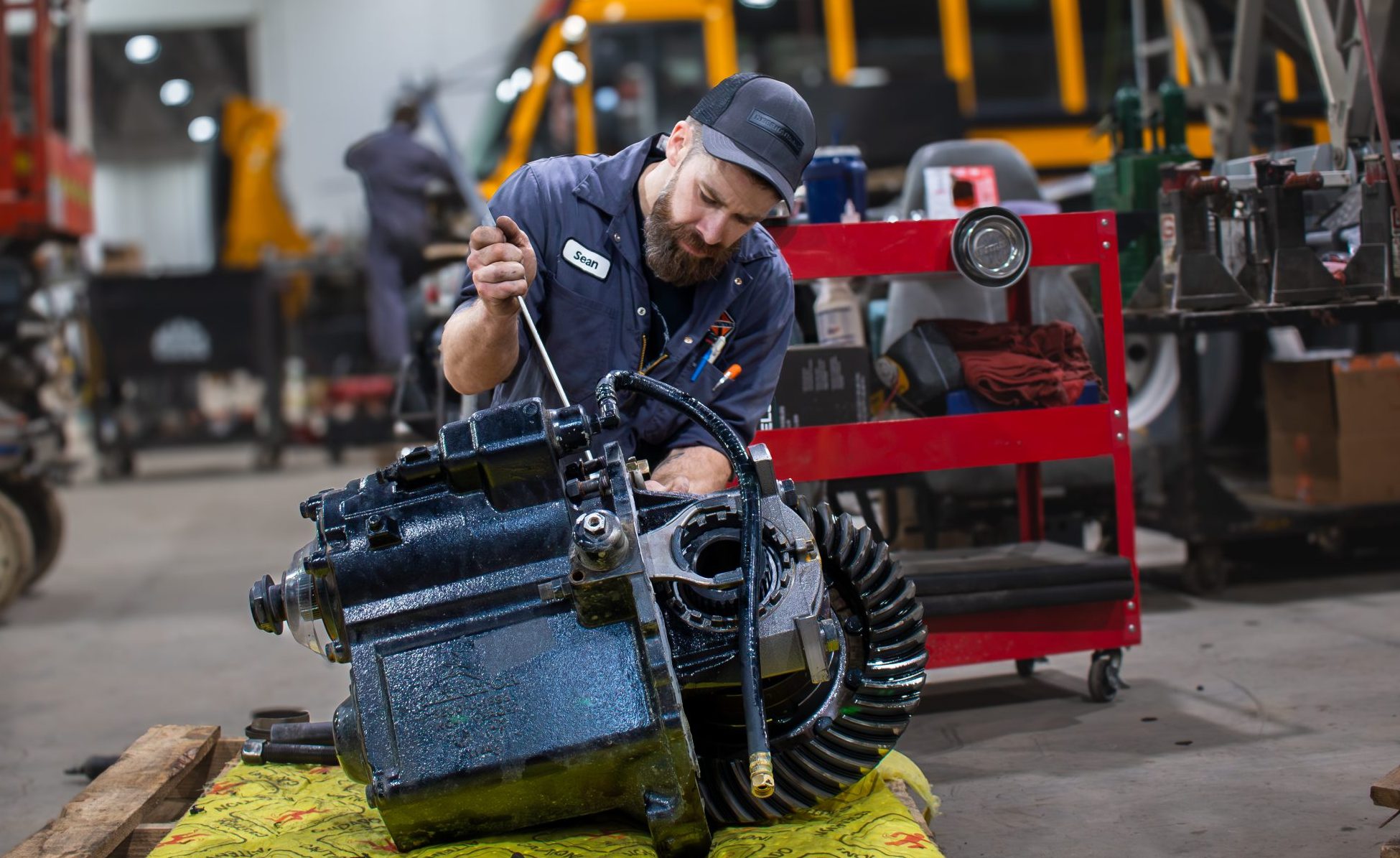 Service Career